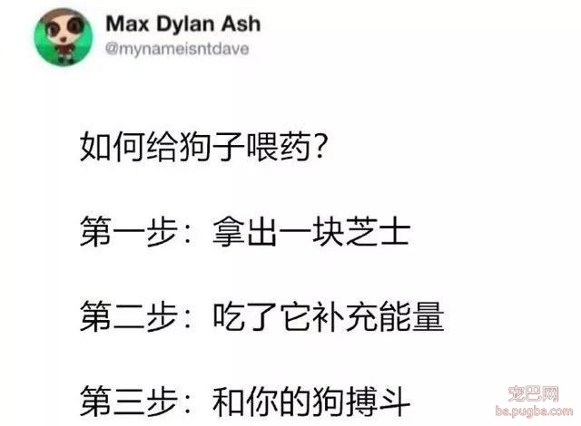 专（sha）业（diao）养狗小贴士，看得我差点就信了-25.jpeg