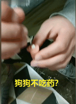 专（sha）业（diao）养狗小贴士，看得我差点就信了-23.gif