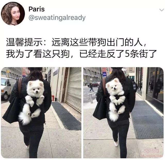 专（sha）业（diao）养狗小贴士，看得我差点就信了-33.jpeg