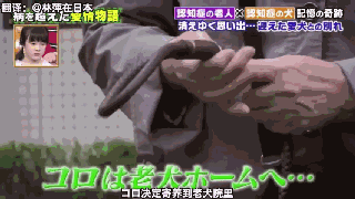 狗狗和主人都因老年痴呆而被迫分离，一年后重逢，却认出了彼此-32.gif