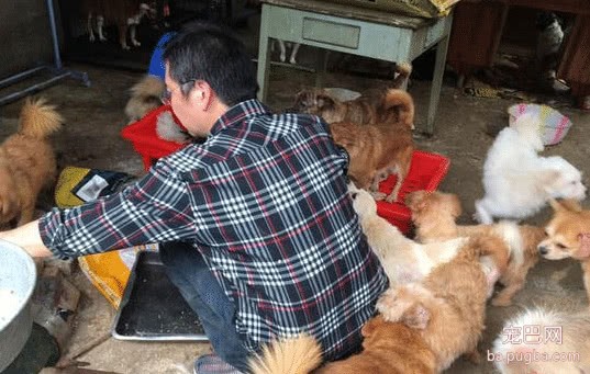 男子为养流浪狗贷款五六十万，年迈父母为还债只能去卖苦力！-2.jpeg