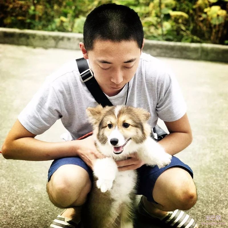 小狗吃多了怎么办?五大招!-5.jpeg