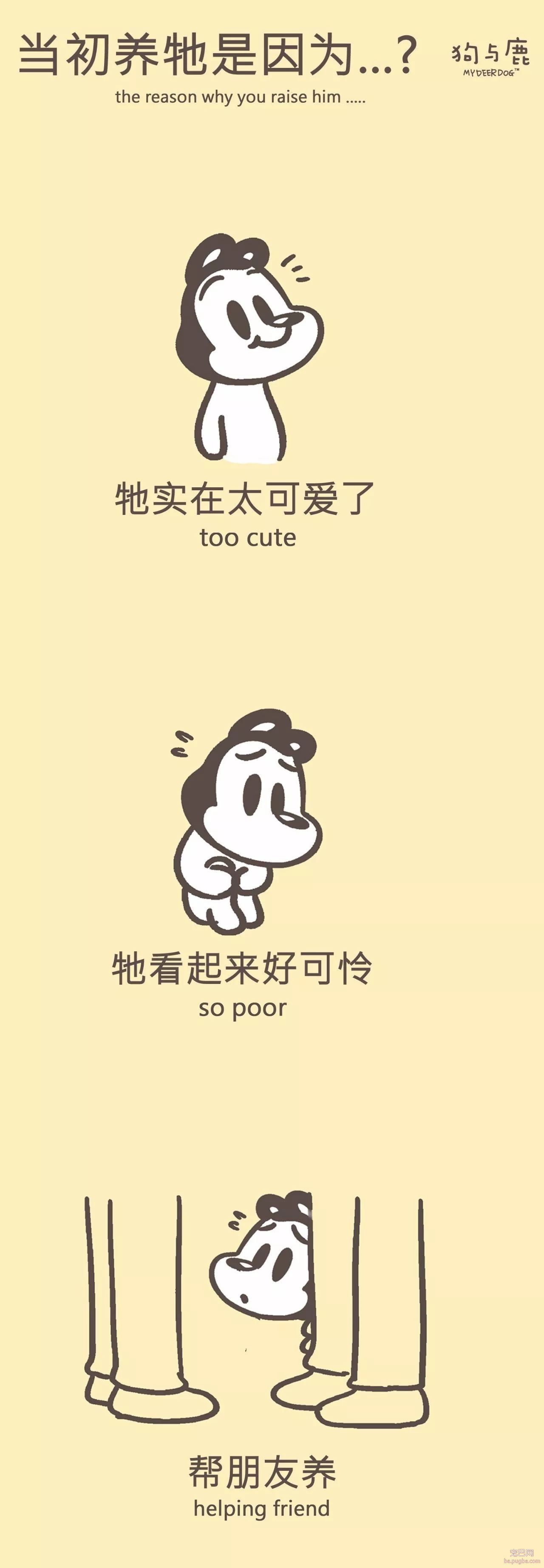 狗与鹿连载丨你是怎么入养狗这个坑的？-1.jpeg
