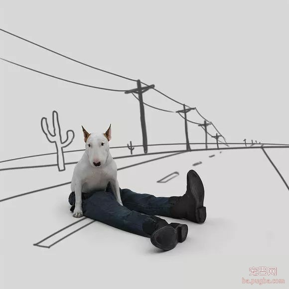 牛头梗不愧是怪异杀手，怪异又有趣-3.jpeg