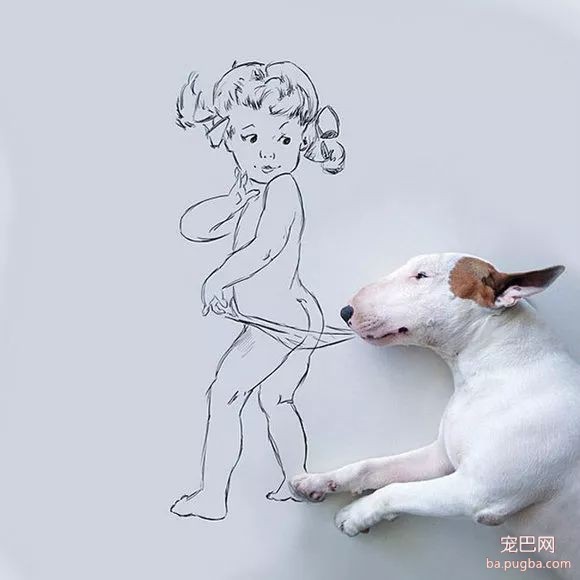 牛头梗不愧是怪异杀手，怪异又有趣-11.jpeg