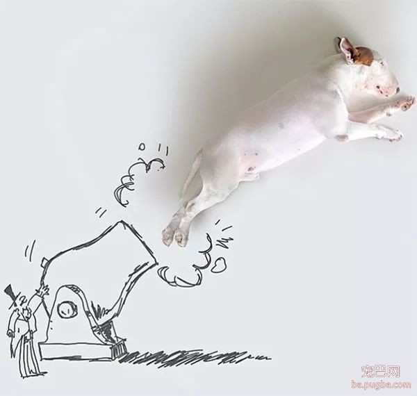 牛头梗不愧是怪异杀手，怪异又有趣-6.jpeg