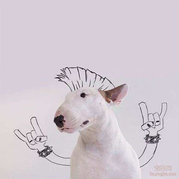 牛头梗不愧是怪异杀手，怪异又有趣-5.jpeg