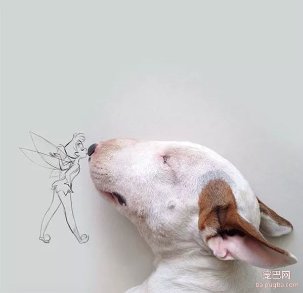 牛头梗不愧是怪异杀手，怪异又有趣-15.jpeg
