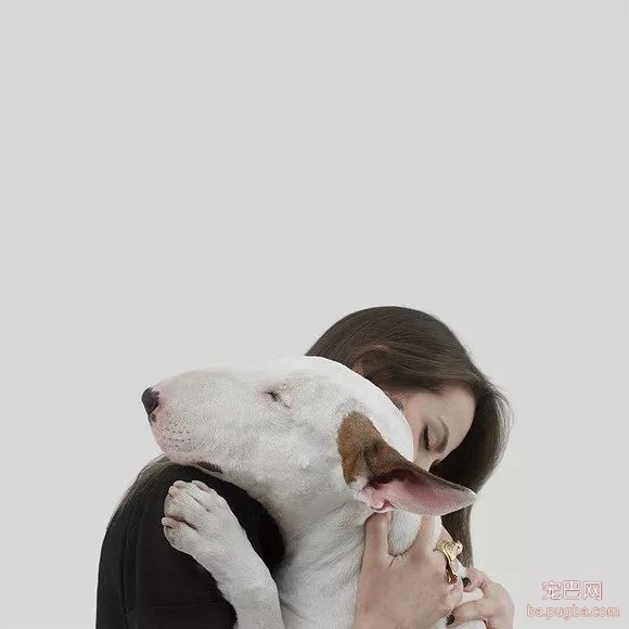 牛头梗不愧是怪异杀手，怪异又有趣-21.jpeg