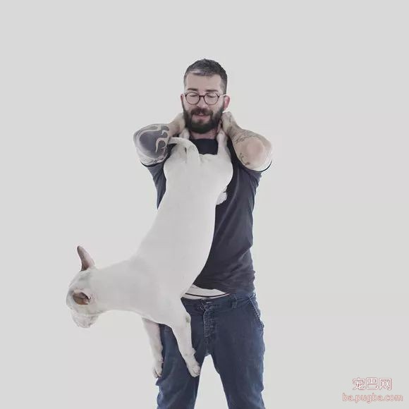 牛头梗不愧是怪异杀手，怪异又有趣-24.jpeg