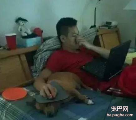 拜托大家不要再说“活的不如狗了”，人家也挺难的！-11.jpeg