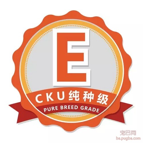 纯种级.jpg