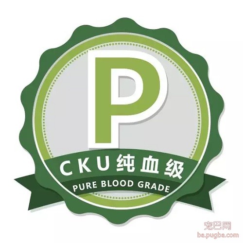 纯血级.jpg