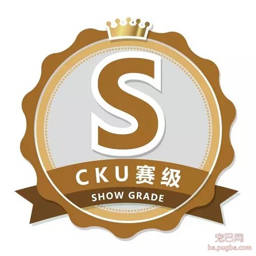 赛级.jpg