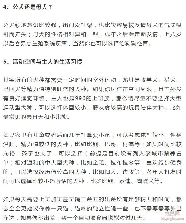 如何选择一只适合自己养的狗-2.jpeg