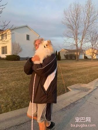 大型真香现场：肌肉男直言要养就养猛犬，嘲笑哥们养小狗太娘炮，可后来...-1.jpeg