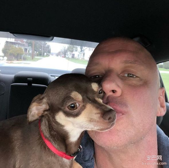 大型真香现场：肌肉男直言要养就养猛犬，嘲笑哥们养小狗太娘炮，可后来...-9.jpeg