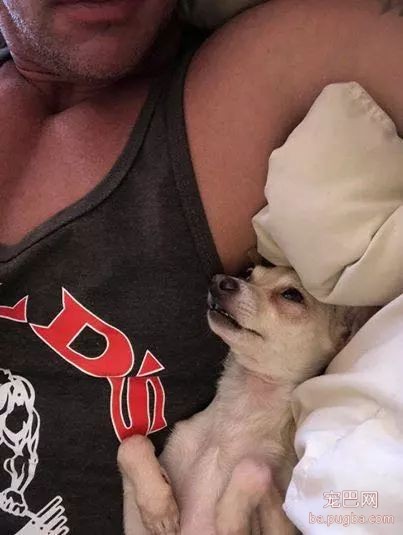 大型真香现场：肌肉男直言要养就养猛犬，嘲笑哥们养小狗太娘炮，可后来...-8.jpeg