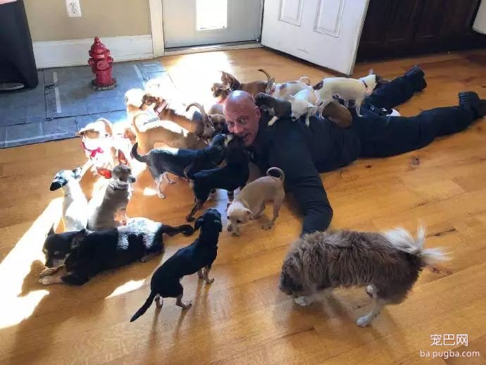 大型真香现场：肌肉男直言要养就养猛犬，嘲笑哥们养小狗太娘炮，可后来...-15.jpeg