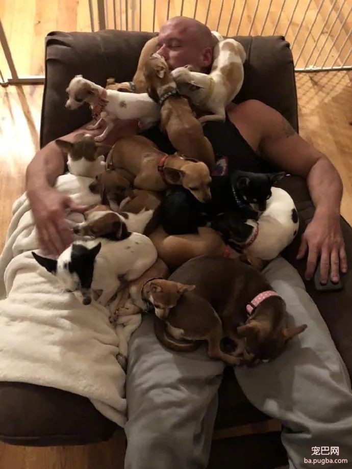 大型真香现场：肌肉男直言要养就养猛犬，嘲笑哥们养小狗太娘炮，可后来...-11.jpeg