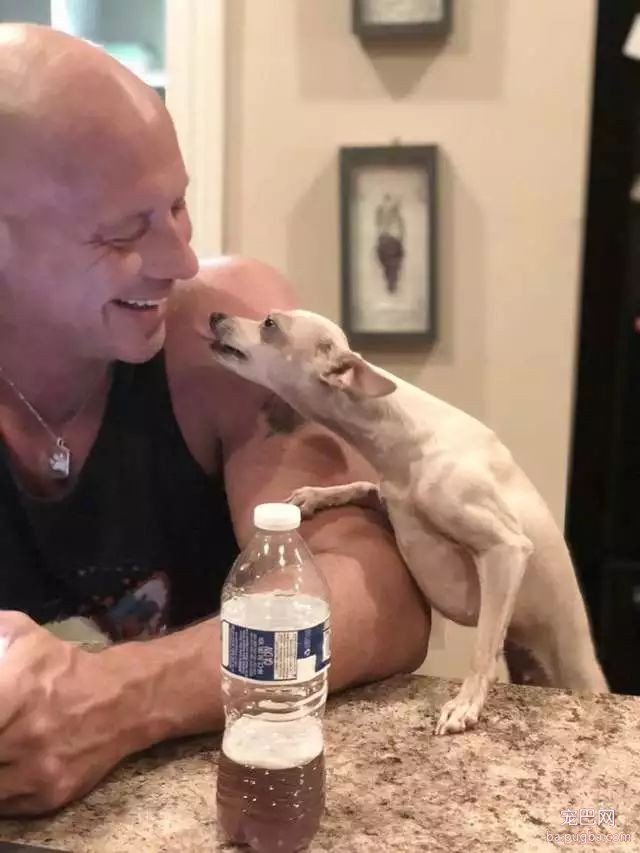 大型真香现场：肌肉男直言要养就养猛犬，嘲笑哥们养小狗太娘炮，可后来...-18.jpeg