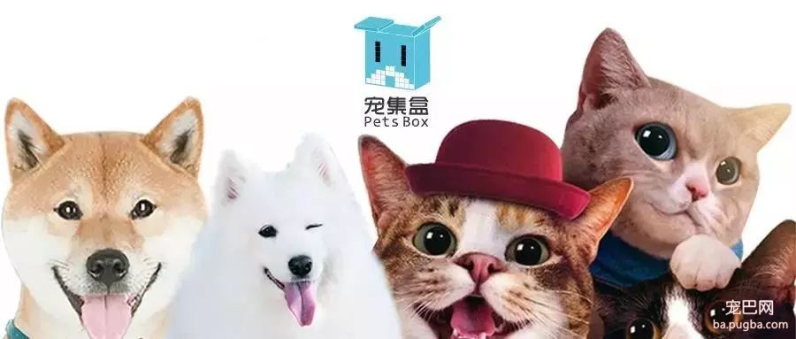 犬界专业名词解释及小知识集锦-2.jpeg