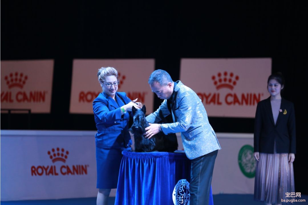 繁殖者必读 | 犬销售问答集锦-5.jpeg