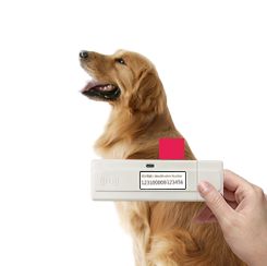繁殖者必读 | 犬销售问答集锦-7.jpeg