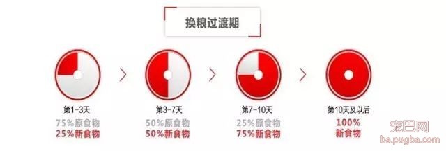 什么时候可以开始给小狗喂干粮？-3.jpeg