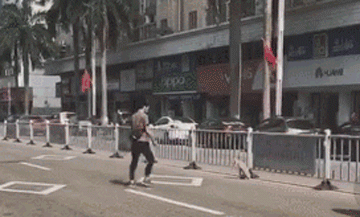 如果狗和男朋友同时掉水里，你救谁？-21.gif