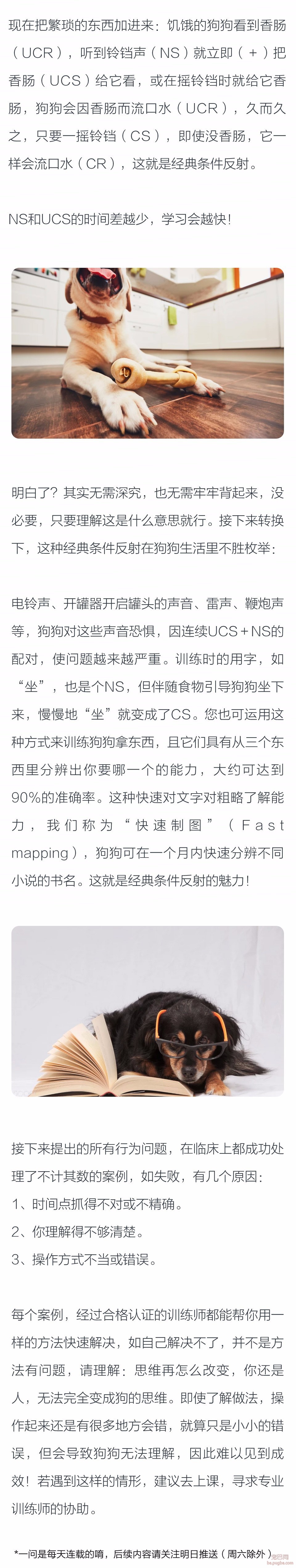 经典条件反射是什么？-2.jpeg