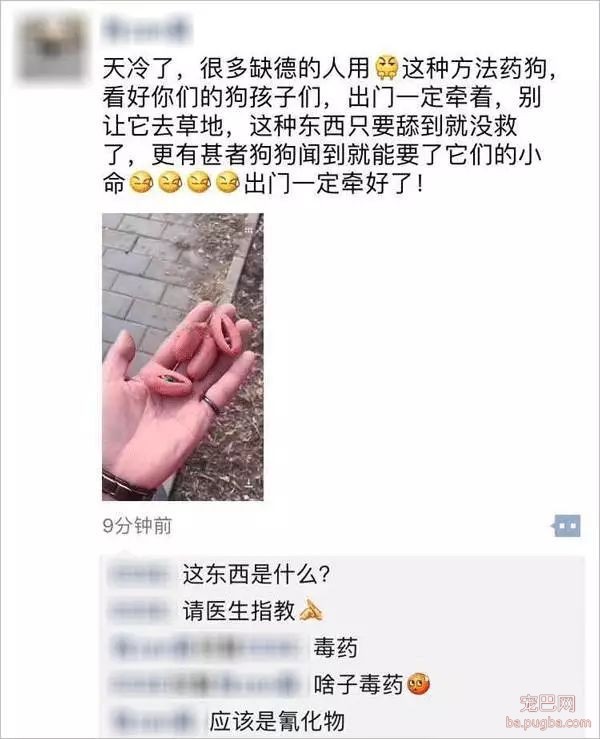 养狗好几年，香肠毒死它却只要几分钟-1.jpeg