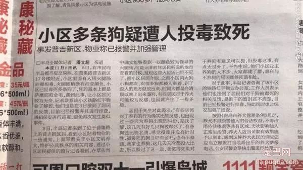 养狗好几年，香肠毒死它却只要几分钟-3.jpeg