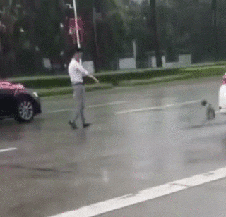 去接新娘的路上，新郎却突然告诉司机：快停车！-3.gif