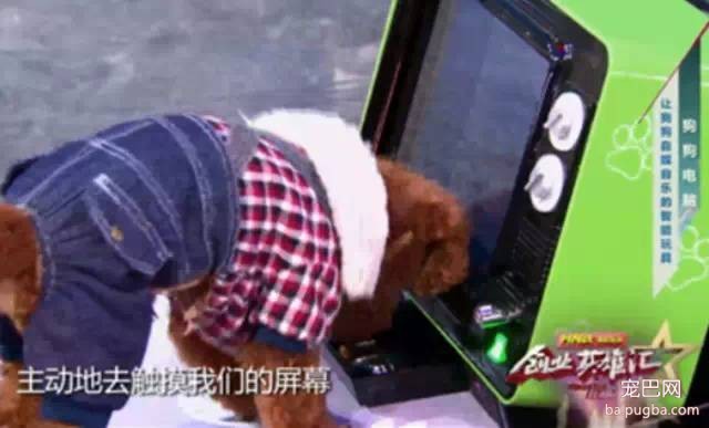 全球第一台狗用电脑 你绝对没见过！-1.jpeg