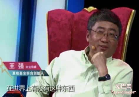 全球第一台狗用电脑 你绝对没见过！-2.jpeg