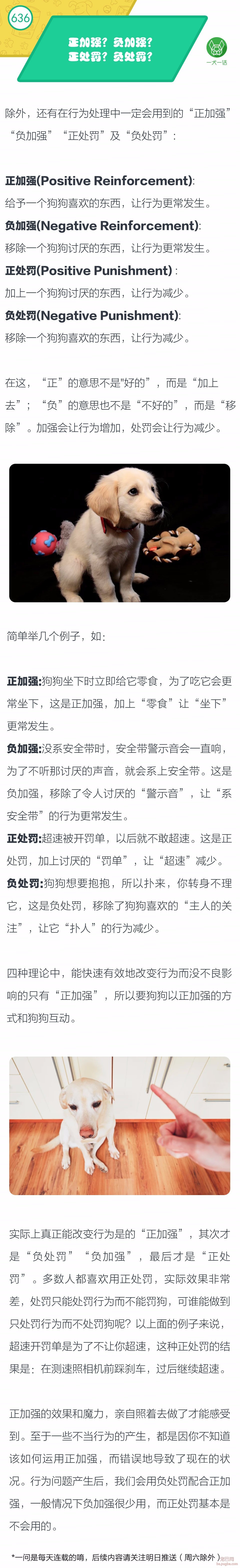 正加强？负加强？正处罚？负处罚？-1.jpeg