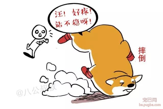 还在给狗狗穿鞋子？小心别害了自家宝宝！-3.jpeg