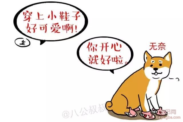 还在给狗狗穿鞋子？小心别害了自家宝宝！-2.jpeg