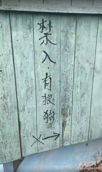 内有狼狗禁入？可这货长这样...请大家礼貌性的怕一下哈！-1.jpeg