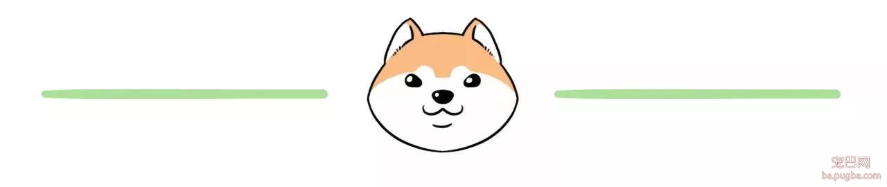 妈妈说我还小，长大就会有猫了-1.jpeg