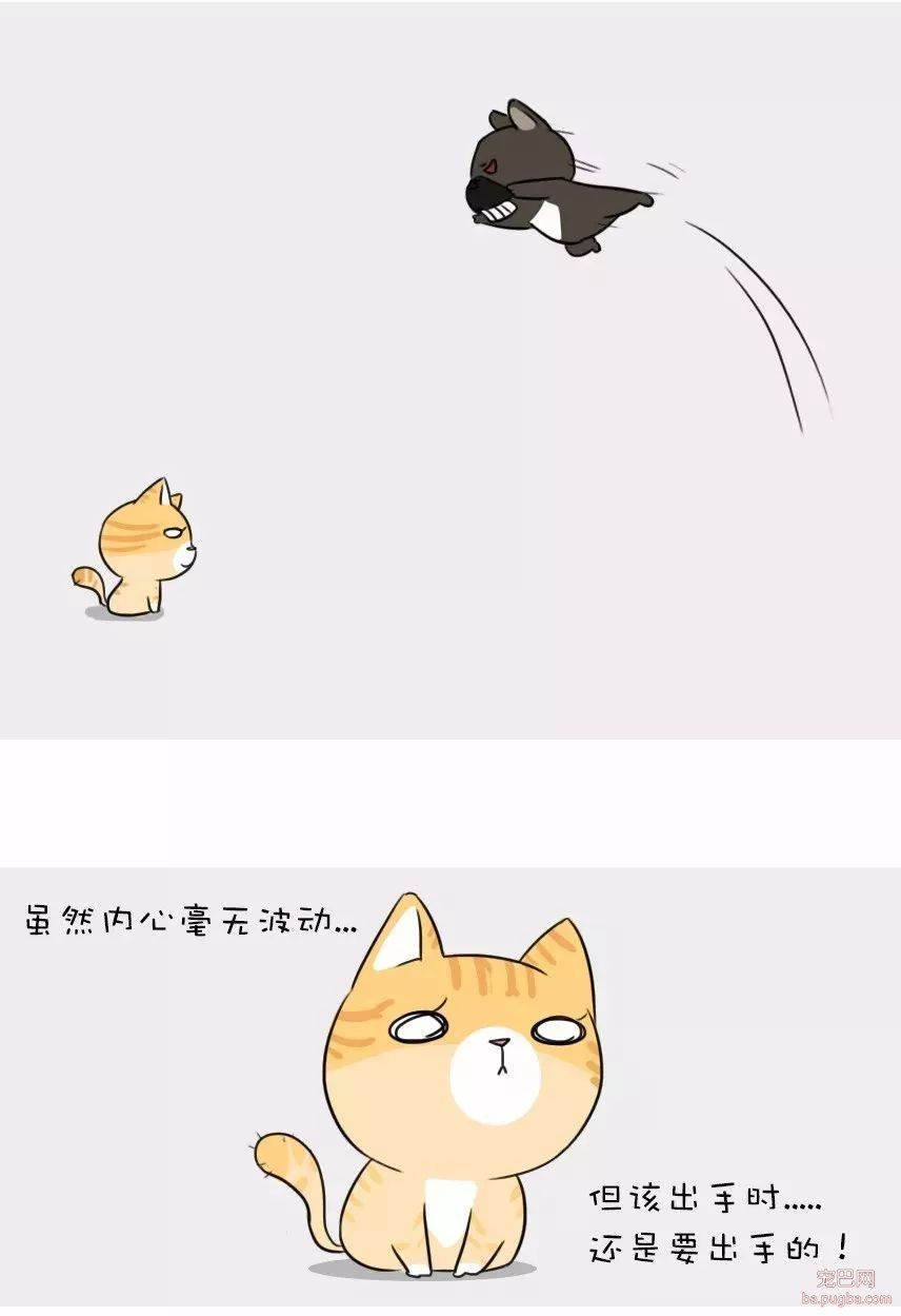 妈妈说我还小，长大就会有猫了-8.jpeg