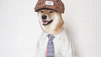 被评为世界上最丑的“狗”，竟然都比你会打扮！-24.gif