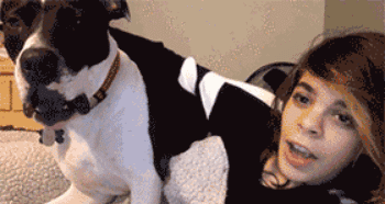 被评为世界上最丑的“狗”，竟然都比你会打扮！-50.gif