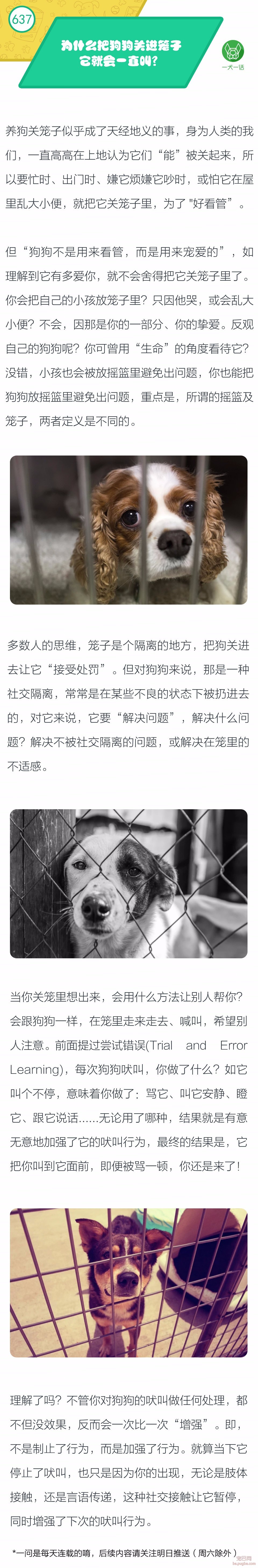 为什么把狗狗关进笼子它就会一直叫？-1.jpeg
