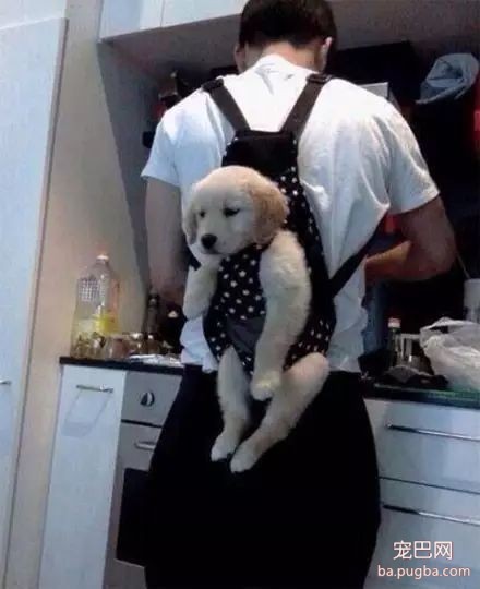 爱狗的男生都是最帅的，你同意吗？-3.jpeg