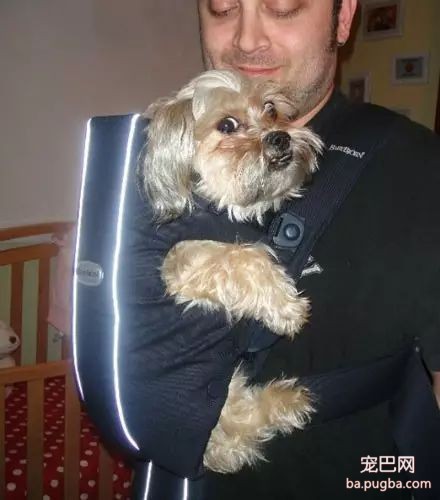 爱狗的男生都是最帅的，你同意吗？-4.jpeg