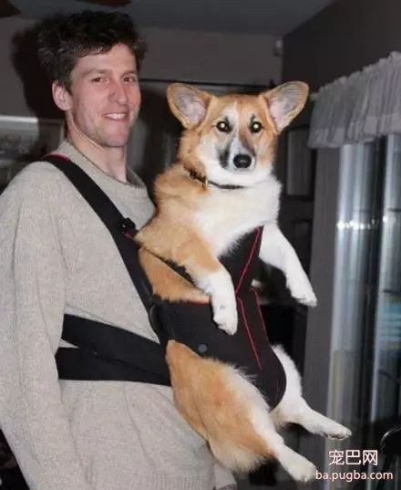 爱狗的男生都是最帅的，你同意吗？-10.jpeg