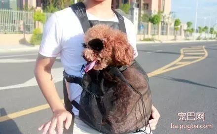 爱狗的男生都是最帅的，你同意吗？-9.jpeg