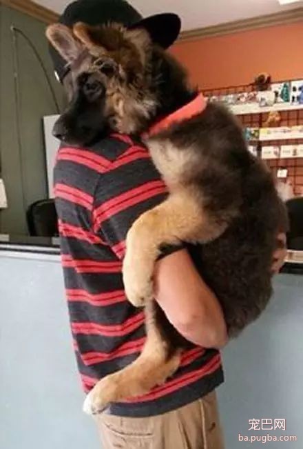 爱狗的男生都是最帅的，你同意吗？-17.jpeg
